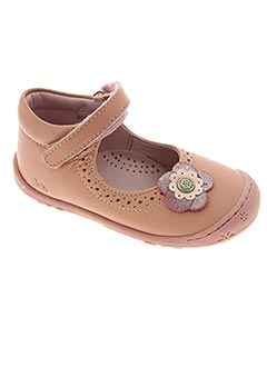 aster dingo camel