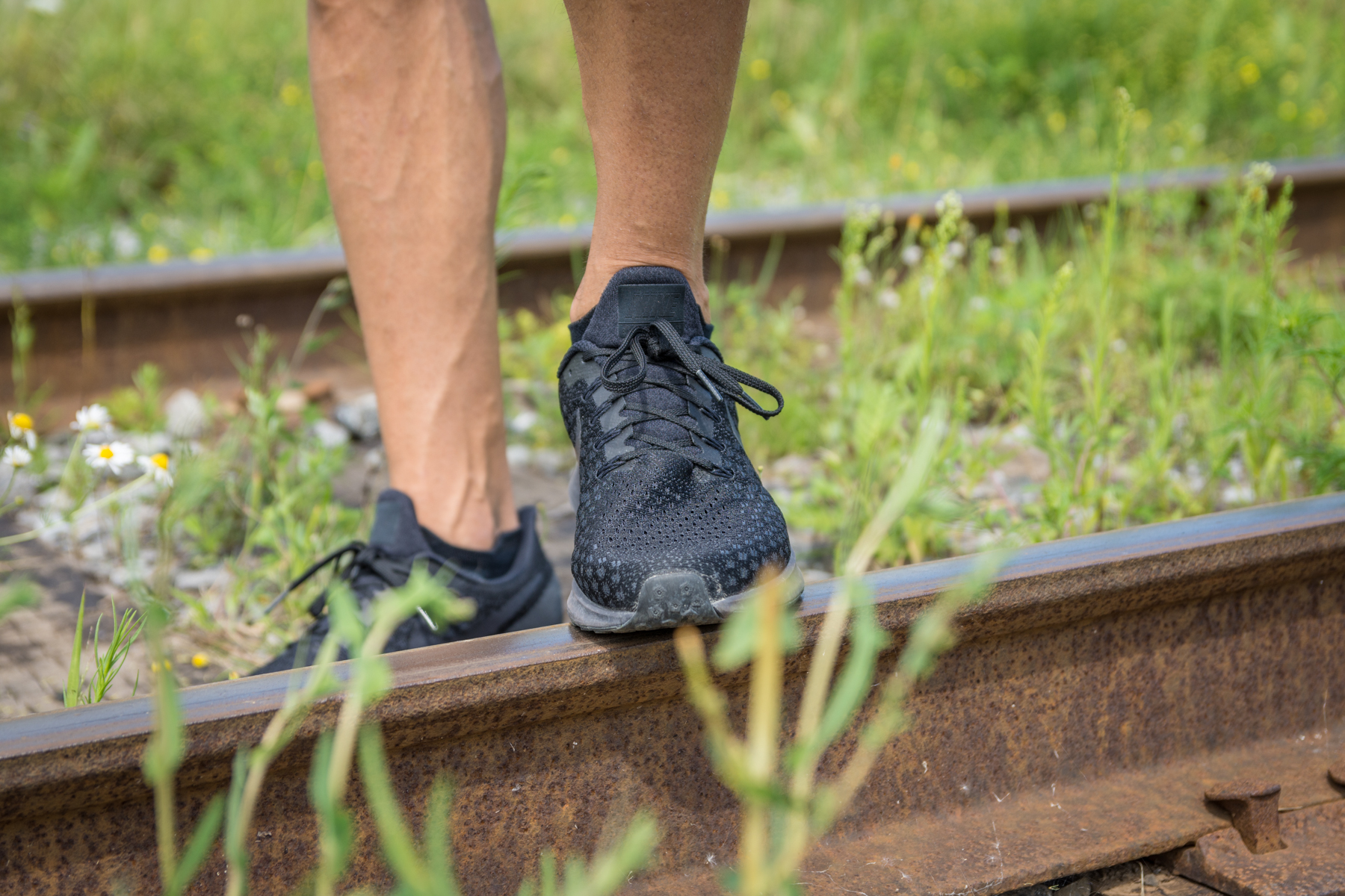 pegasus 36 avis