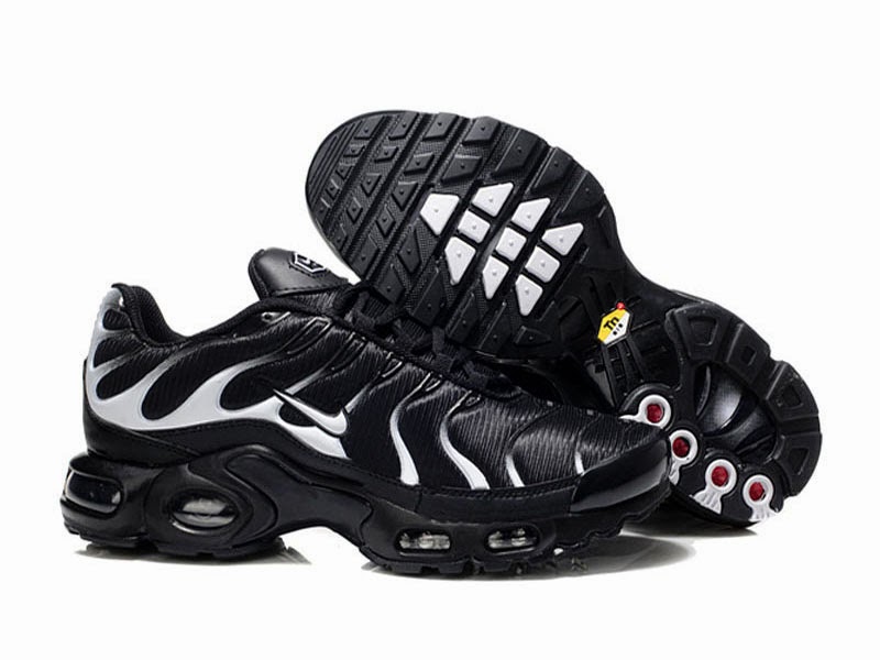 achat tn requin